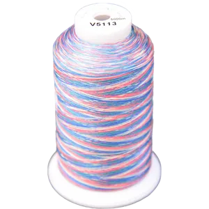 Exquisite Medley Variegated Thread - Carnival 5000M V5113